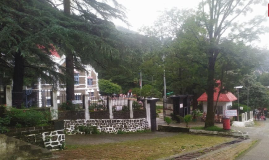 उपनल और वन विभाग के दैनिक श्रमिकों के न्यूनतम वेतन-नियमितीकरण पर सुनवाई, जानें कोर्ट में क्या हुआ