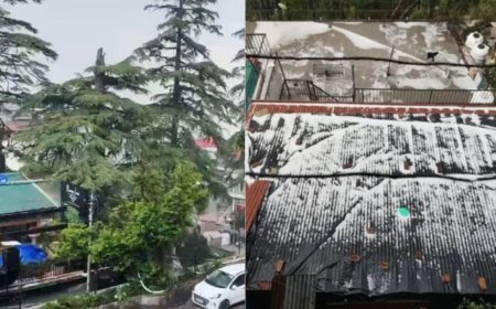 उत्तराखंड में बदला मौसम का मिजाज, देहरादून मसूरी में बारिश के साथ भारी ओलावृष्टि, लुढ़का पारा