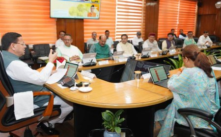 पहाड़ में लागू होगी स्वैच्छिक चकबंदी, होमस्टे मे बन सकेंगे 8 कमरे, जानिए धामी कैबिनेट के बड़े फैसले