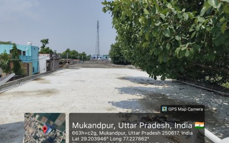 बागपत के सरकारी स्कूलों में डीएम अस्मिता लाल की ‘कूल रूफ’ योजना छात्रों को कर रही कूल