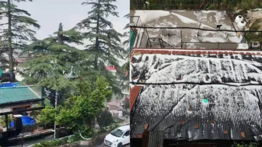 उत्तराखंड में बदला मौसम का मिजाज, देहरादून मसूरी में बारिश के साथ भारी ओलावृष्टि, लुढ़का पारा