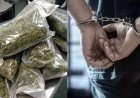 वाराणसी एयरपोर्ट पर ड्रग्स तस्करी का बड़ा खुलासा, 19 करोड़ का हाइड्रोपोनिक गांजा बरामद, 6 विदेशी नागरिक गिरफ्तार