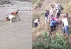 दूरस्थ घेस क्षेत्र में दर्दनाक सड़क हादसा, कैल नदी में समाई बोलेरो, 4 की मौत, 3 घायल
