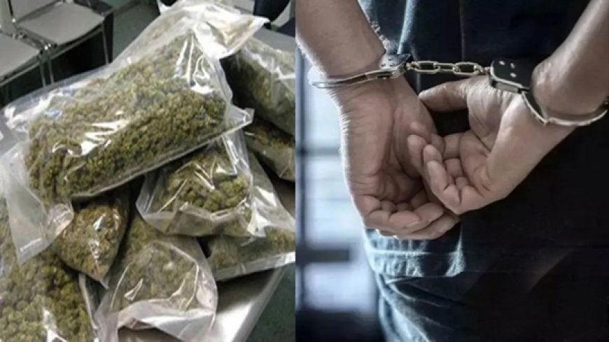 वाराणसी एयरपोर्ट पर ड्रग्स तस्करी का बड़ा खुलासा, 19 करोड़ का हाइड्रोपोनिक गांजा बरामद, 6 विदेशी नागरिक गिरफ्तार