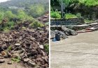 उत्तराखंड में बारिश का रेड ज़ोन! 5 जिलों में भारी बारिश का अलर्ट, यमुनोत्री हाईवे पर लैंडस्लाइड से घंटों थमा यातायात