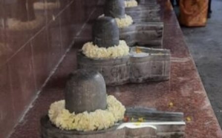 मसूरी में MDDA ने बहुमंजिला इमारत के 50 फ्लैट किए सील, सीलिंग के बावजूद रहने लगे थे लोग
