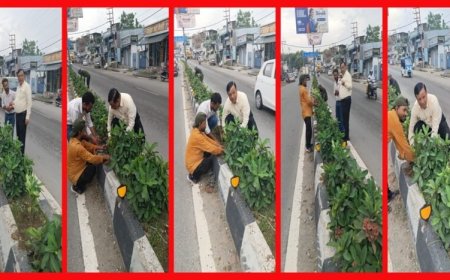 सीएम धामी के विजन को मिली रफ्तार, IAS बंशीधर तिवारी के नेतृत्व में हरा-भरा हो रहा दून, कार्यालय जाते समय पौधरोपण अभियान पर पड़ी नजर तो रुककर परखी हरियाली की जमीनी हकीकत