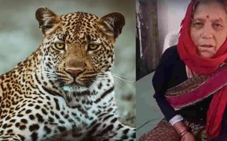 दरांती लेकर गुलदार से भिड़ गईं 65 साल की नारायणी देवी, जान बचाकर लौटीं घर