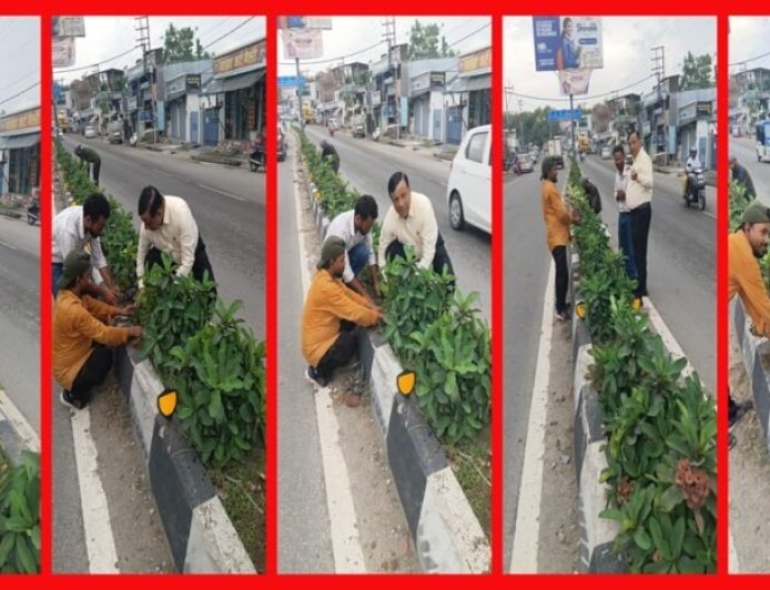 सीएम धामी के विजन को मिली रफ्तार, IAS बंशीधर तिवारी के नेतृत्व में हरा-भरा हो रहा दून, कार्यालय जाते समय पौधरोपण अभियान पर पड़ी नजर तो रुककर परखी हरियाली की जमीनी हकीकत