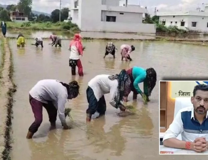 विलुप्त होती दून बासमती की खुशबू फिर लौटेगी; मुख्यमंत्री के संकल्प, जिला प्रशासन की पहल और किसानों की मेहनत से पारंपरिक बासमती के पुनर्जीवन की जगी उम्मीद