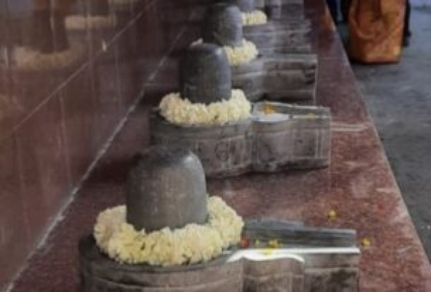 मसूरी में MDDA ने बहुमंजिला इमारत के 50 फ्लैट किए सील, सीलिंग के बावजूद रहने लगे थे लोग