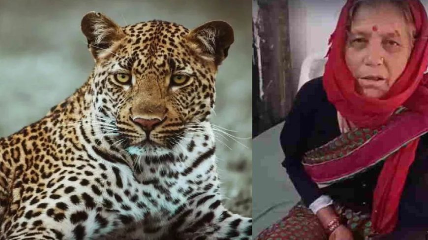 दरांती लेकर गुलदार से भिड़ गईं 65 साल की नारायणी देवी, जान बचाकर लौटीं घर