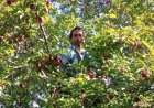 उत्तराखंड में फल और सब्जी उत्पादकों को मिलेगा आधुनिक कोल्ड स्टोरेज का लाभ, किसानों की आय बढ़ाने की दिशा में बड़ी पहल
