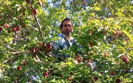 उत्तराखंड में फल और सब्जी उत्पादकों को मिलेगा आधुनिक कोल्ड स्टोरेज का लाभ, किसानों की आय बढ़ाने की दिशा में बड़ी पहल