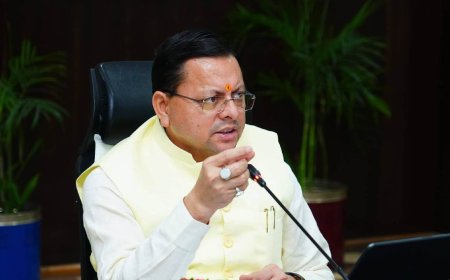 हल्द्वानी में हाई कोर्ट के लिए निशुल्क मिलेगी जमीन, स्पोर्ट्स यूनिवर्सिटी में होंगे 122 पद, धामी कैबिनेट के बड़े फैसले