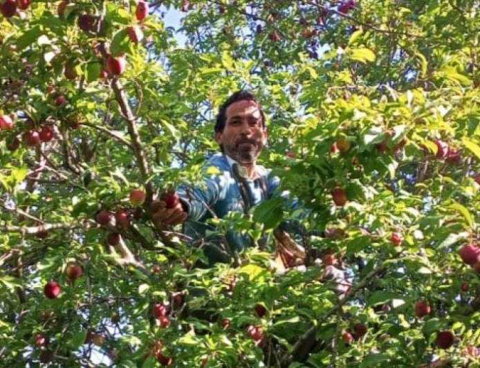 उत्तराखंड में फल और सब्जी उत्पादकों को मिलेगा आधुनिक कोल्ड स्टोरेज का लाभ, किसानों की आय बढ़ाने की दिशा में बड़ी पहल