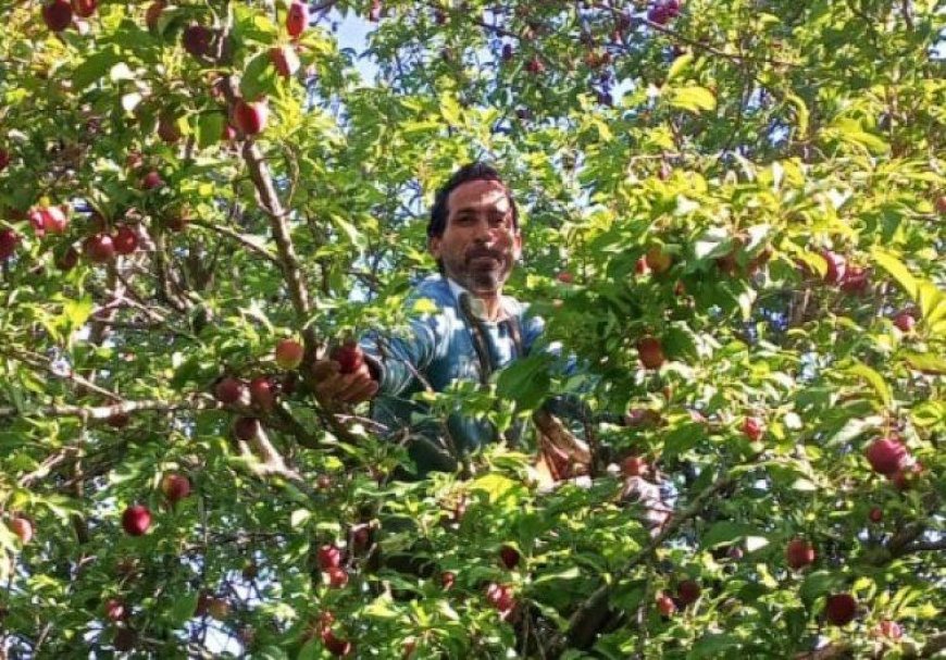 उत्तराखंड में फल और सब्जी उत्पादकों को मिलेगा आधुनिक कोल्ड स्टोरेज का लाभ, किसानों की आय बढ़ाने की दिशा में बड़ी पहल
