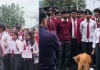 पौड़ी: भरसार विश्वविद्यालय में हॉर्टीकल्चर छात्रा की मौत, आक्रोशित छात्र छात्राओं ने विवि प्रशासन पर लगाए गंभीर लापरवाही के आरोप