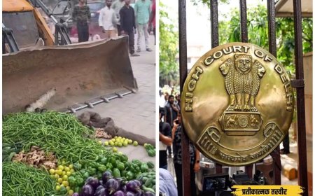 दिल्ली के रेहड़ी-पटरी वालों को हाईकोर्ट से बड़ी राहत, जब्त सामान का 24 घंटे में देना होगा मेमो; वीडियोग्राफी भी अनिवार्य
