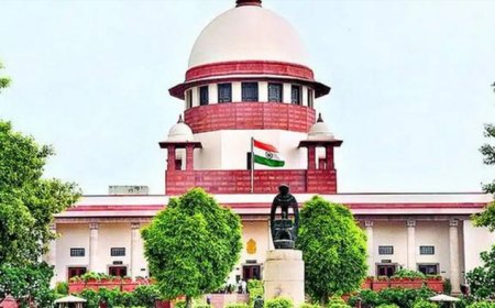 पूर्व मेयर विशाखा राउत की अयोग्यता पर सुप्रीम कोर्ट में सुनवाई, पार्षद की सीट खाली रखने का निर्देश
