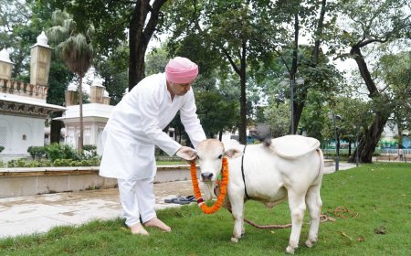 श्री गुरु राम राय विश्वविद्यालय में पहुंची दुनिया की सबसे छोटी नस्ल की नैनो गाय
