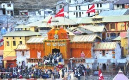 चारधामों को प्लास्टिक मुक्त बनाने में जुटी धामी सरकार, नगर पंचायतों ने अभियान चलाकर एकत्रित किया 798 टन कचरा