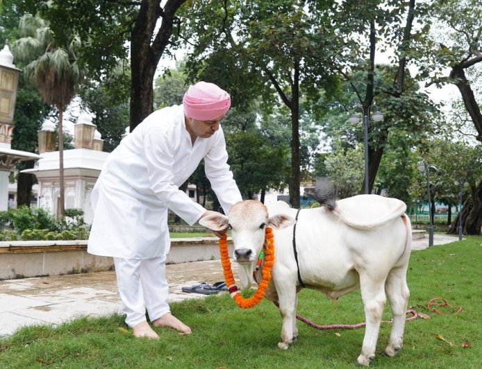 श्री गुरु राम राय विश्वविद्यालय में पहुंची दुनिया की सबसे छोटी नस्ल की नैनो गाय