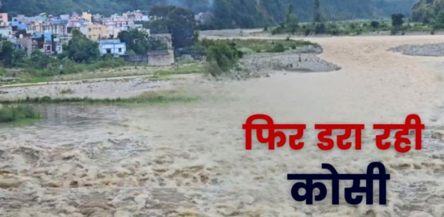 भारी बारिश से लगातार बढ़ रहा कोसी नदी का जलस्तर, 1993 की बाढ़ का मंजर याद कर सिहर उठते हैं लोग