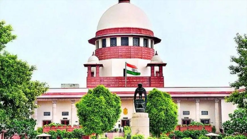 पूर्व मेयर विशाखा राउत की अयोग्यता पर सुप्रीम कोर्ट में सुनवाई, पार्षद की सीट खाली रखने का निर्देश