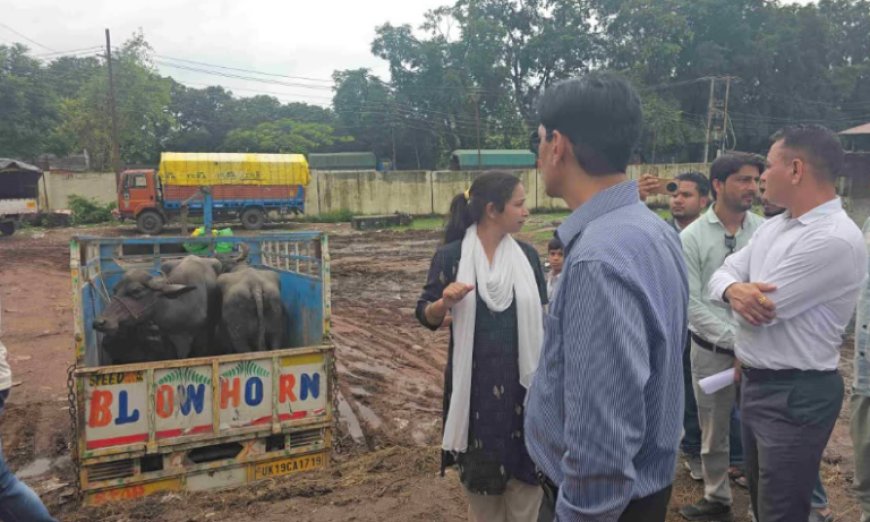 रामनगर नगर पालिका में कमिश्नर का छापा, गड़बड़ी पर भड़के दीपक रावत, कहा ये स्कैम है, डीएम को जांच सौंपी