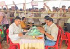 किच्छा और सिरौली कलां निकाय चुनाव की काउंटिंग जारी, दोपहर तक आ सकता है रिजल्ट, सुरक्षा के कड़े इंतजाम