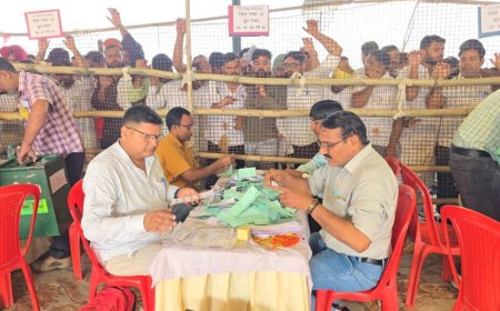 किच्छा और सिरौली कलां निकाय चुनाव की काउंटिंग जारी, दोपहर तक आ सकता है रिजल्ट, सुरक्षा के कड़े इंतजाम