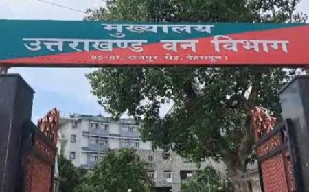 उत्तराखंड में IFS अफसरों का ट्रांसफर, जानिए किसको कहां भेजा गया, कौन सी नई जिम्मेदारी मिली